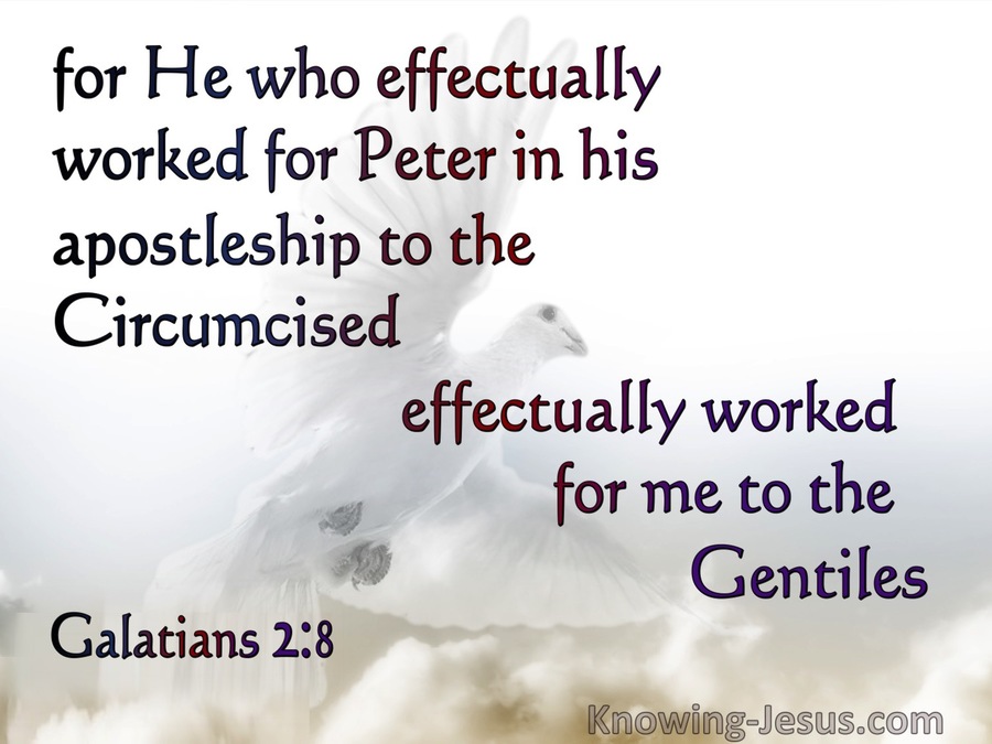 Galatians 2:8 Peter's APostleship To The Circumcised Paul's To the Gentiles (white)